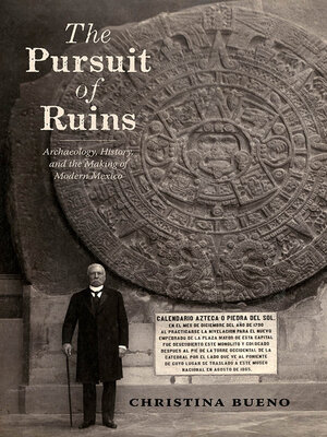 cover image of The Pursuit of Ruins